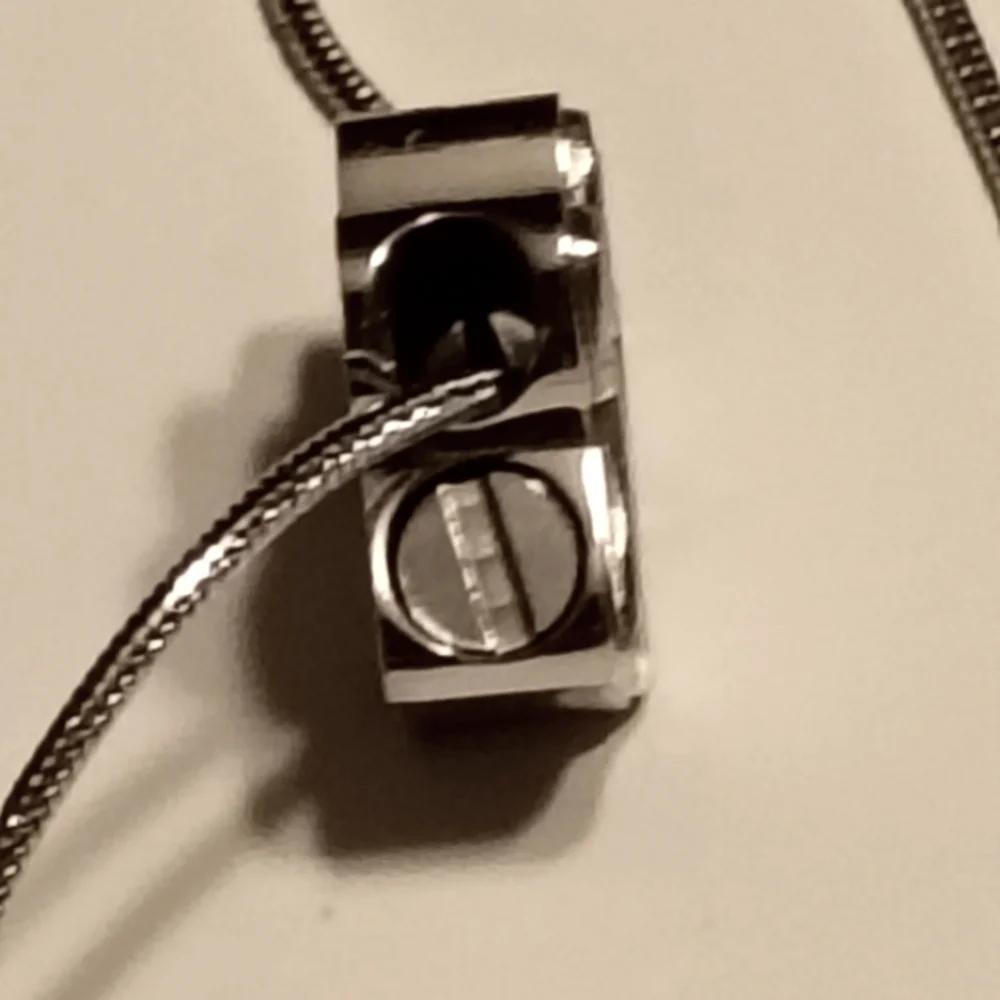 Silver Paw Print Pet Memorial Pendant Necklace